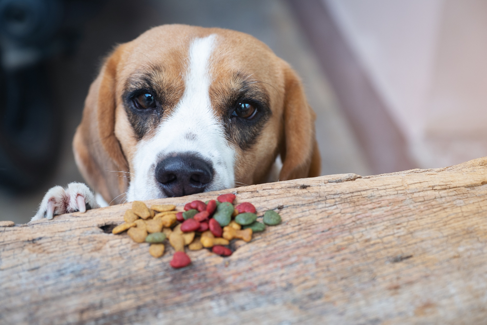 Jardinerie pépinière vente de végétaux - nourriture animaux de compagnie